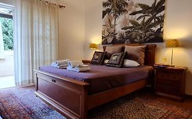 Apartment T3 - Frei Joao - Pleasant And Cozy